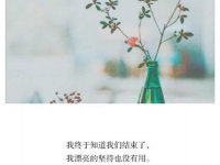 2023年最火的早安句子(早安最短精句)