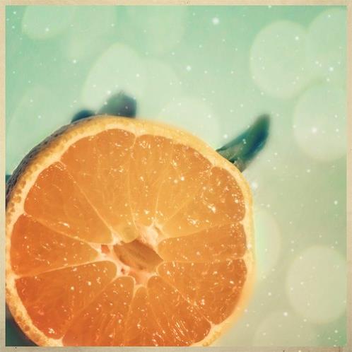 优美排比句子摘抄大全简短