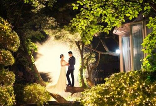 优美排比句子摘抄大全简短