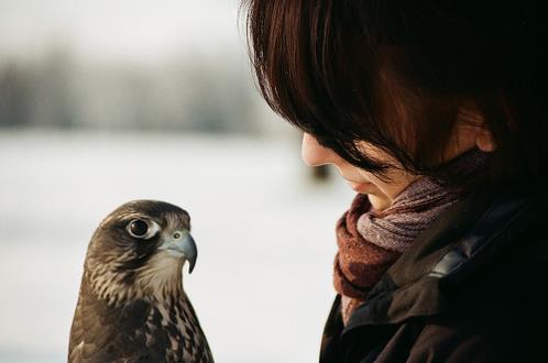 关于奶茶的段子