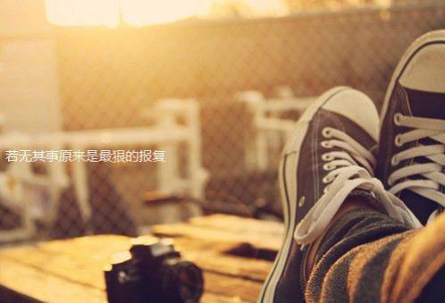 2023迎新年茶叶广告语