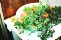 qq个性签名大全霸气