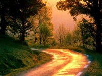 ​谈人生理想的段子（抖音上比较火的语录）