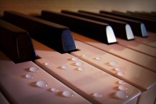 鼓励自己努力奋斗说说