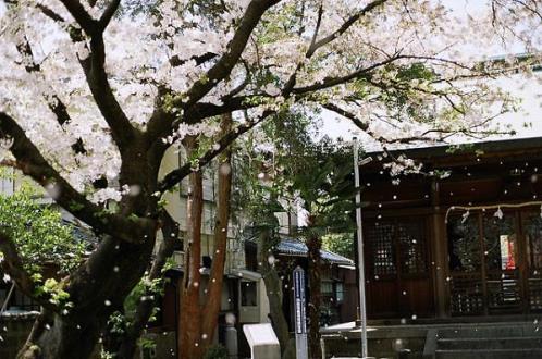 感悟人生的毒鸡汤