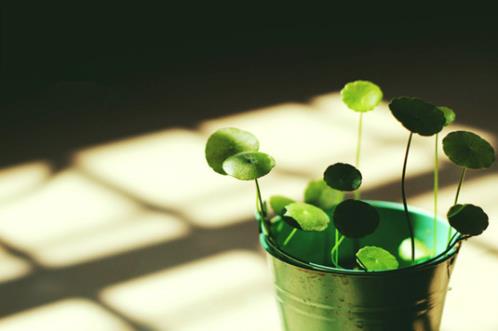 幸福快乐的人生格言