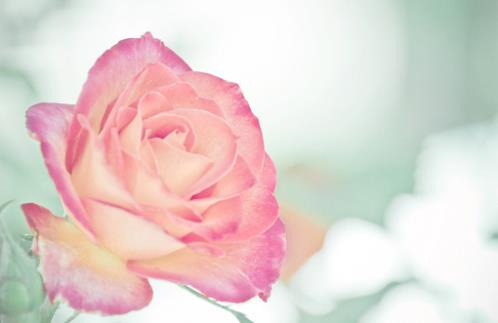 描写外婆外貌的段落