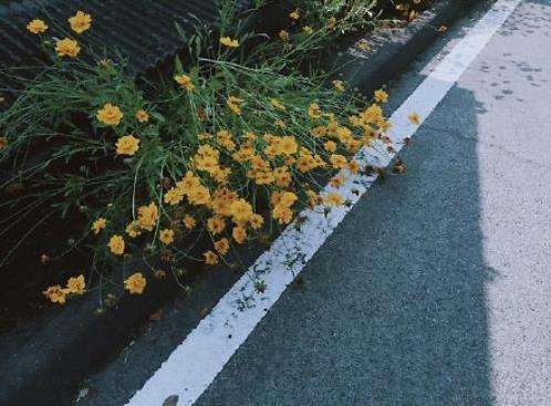 很甜很撩的句子二十字