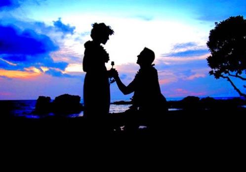 感谢老板比较真诚的话