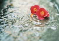 ​拟人句的赏析方法 拟人句赏析一般格式