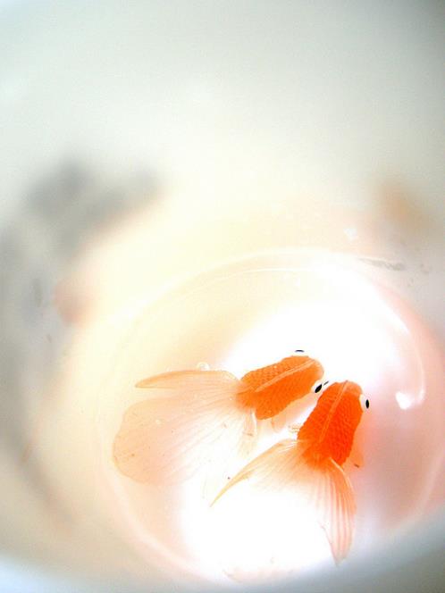 适合书签上的字简短