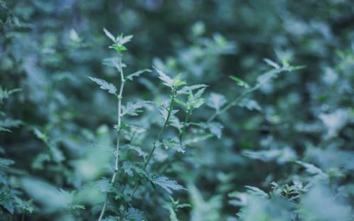 办法总比困难多演讲稿