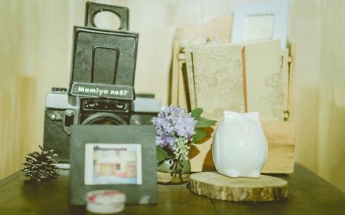 草房子好词好句好段感受