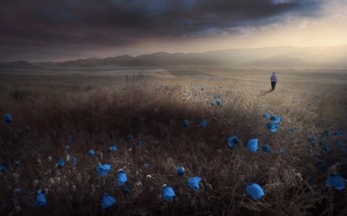 失恋后安慰自己的话