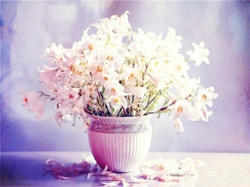 失恋后安慰自己的话