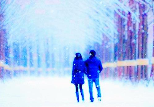 赞美一个人的美句