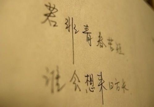 清晨的日出的唯美句子