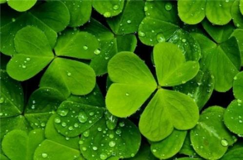 高傲的个性签名女生版