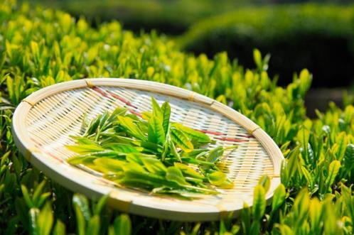 女朋友生气哄她开心的笑话