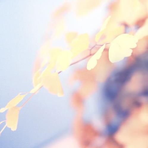 抖音走心的句子简短一句话