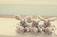 ​团结正能量经典语录 正能量治愈系美文