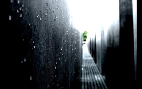 描写虞美人花的句子