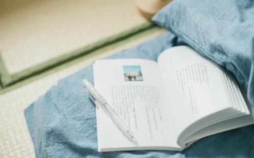 描写虞美人花的句子