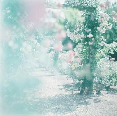 一句话搞笑晚安语录