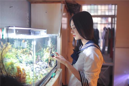 秋雨像什么的句子