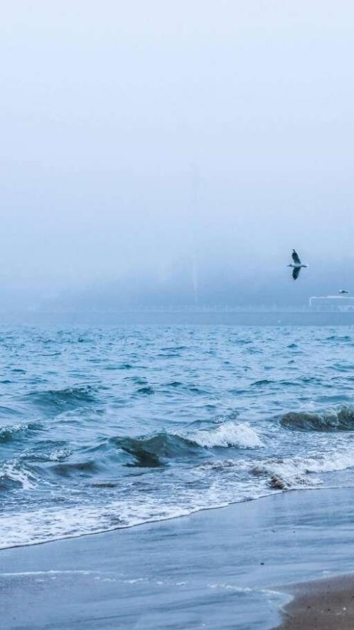 表达不舍离别的句子