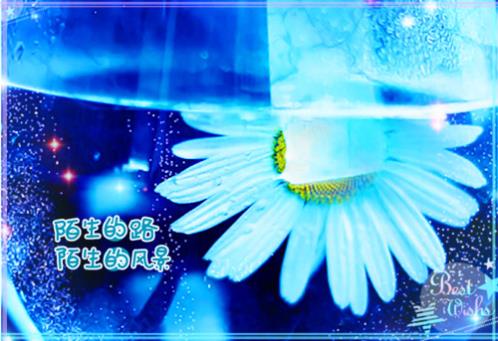 表达不舍离别的句子