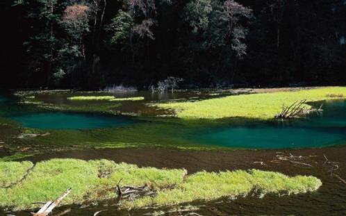 有关同学友谊的句子