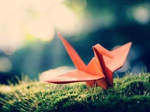 鼓励自己的经典语句