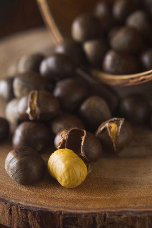 表达思念的话语简短