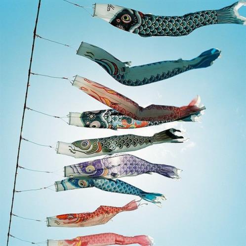 要走了舍不得的说说