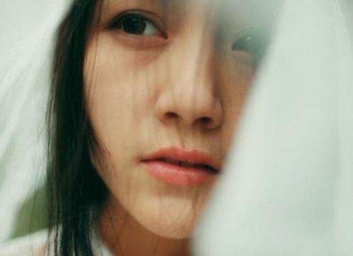 本年祝福语四字词语