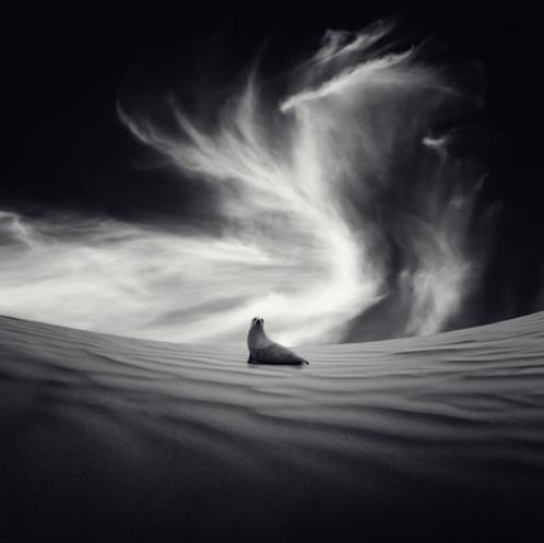 本年祝福语四字词语