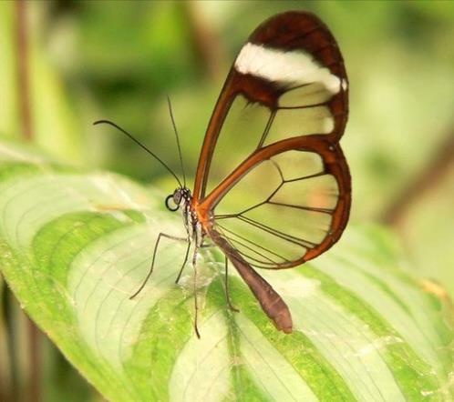 个性签名句子大全