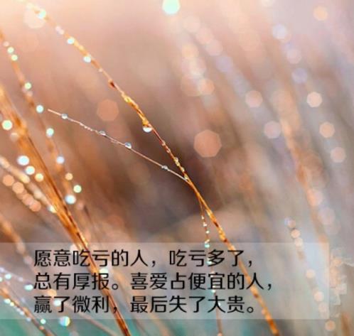 描写春天的句子100字