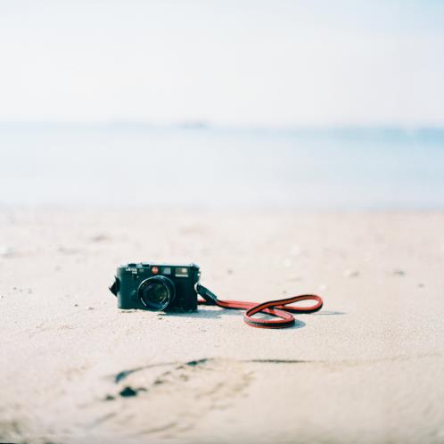 对生活感悟的句子