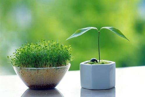 对友情失望的文案