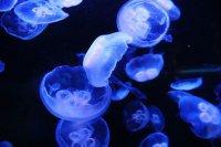 ​对友情失望的文案 抑郁很丧句子短句