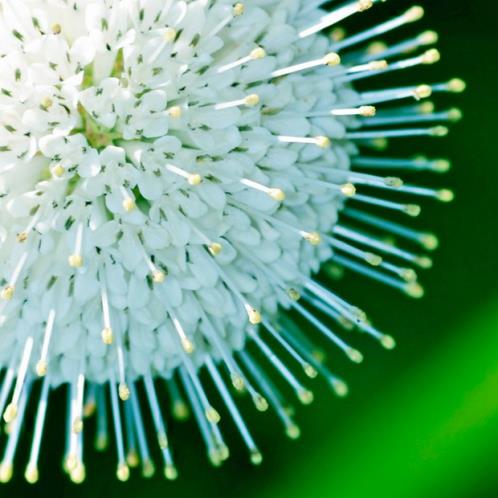 抑郁很丧句子短句