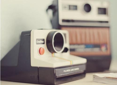 不要互相伤害经典语录