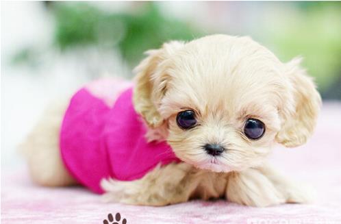 创业经典语录100句