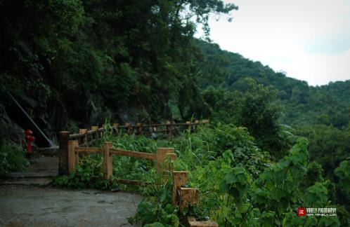 早安问候语幽默