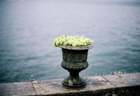 ​早安问候语幽默