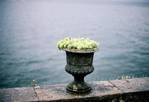 早安问候语幽默