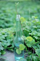 ​夸人美彩虹屁文案（夸人的话男生彩虹屁）