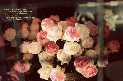 夸人美彩虹屁文案